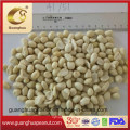 Factory Price Wholesale Blanched Peanut Kernels Long Shape